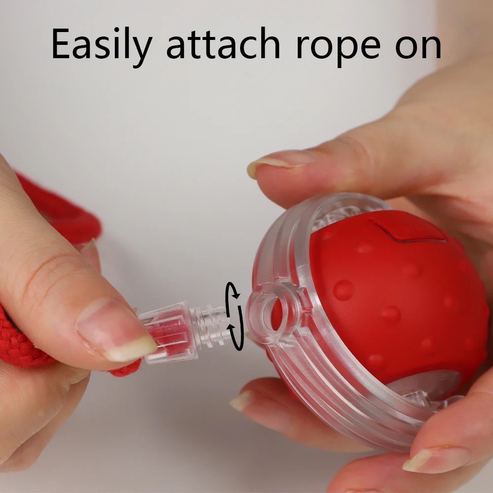 Wooweeshop™ Interactive Rolling Ball